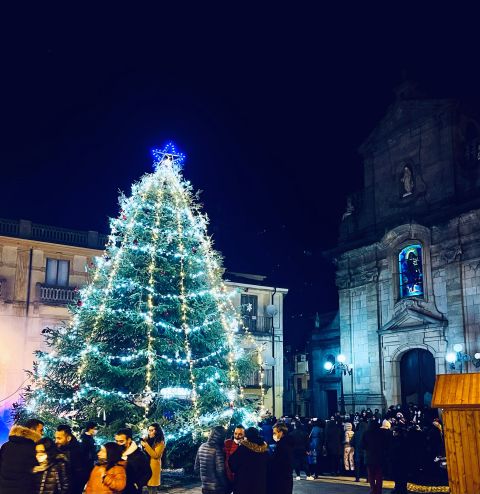 Serra: acceso l'albero di Natale in piazza Monsignor Barillari