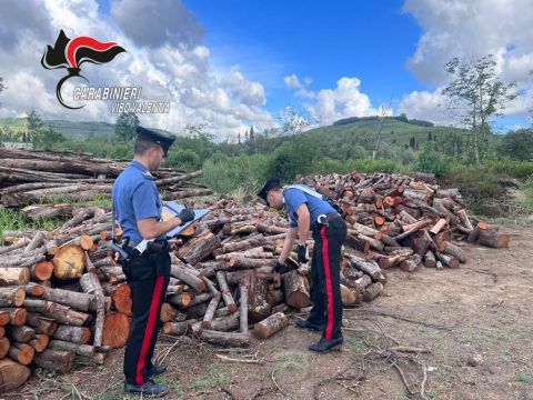 Furto di legname a Soriano, individuati i presunti responsabili