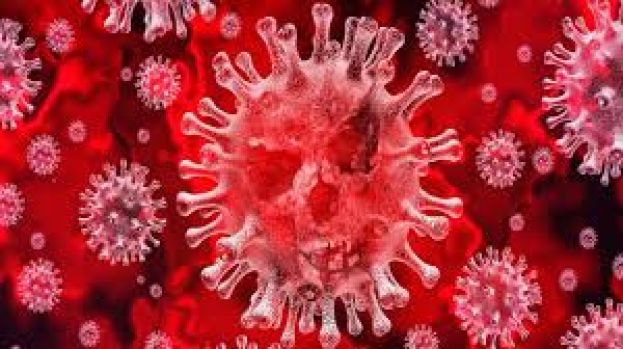 Covid in Calabria: il virus arretra, ma ci sono più di 1.800 nuovi contagi
