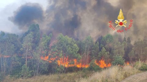 La Calabria brucia: incendi in tutta la regione, nel Vibonese intervengono elicotteri e Canadair