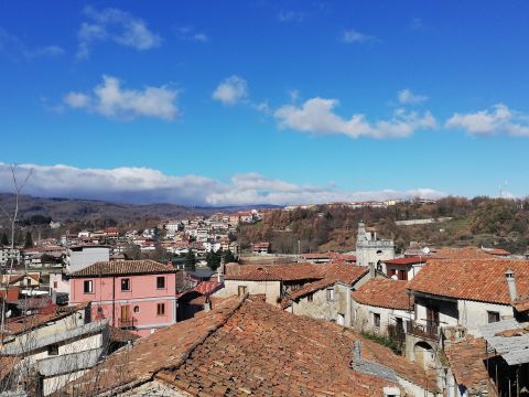 “Il borgo della nocciola”: a Cardinale nuove opportunità per la Tonda di Calabria bio
