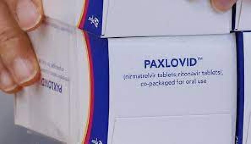 Paxlovid, il farmaco anti Covid da domani in distribuzione alle Regioni