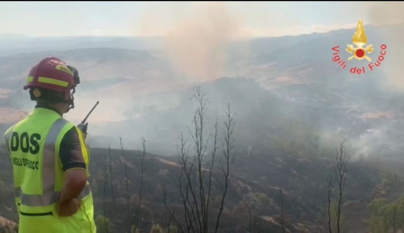 Vasto incendio distrugge oltre 50 ettari di bosco e macchia mediterranea