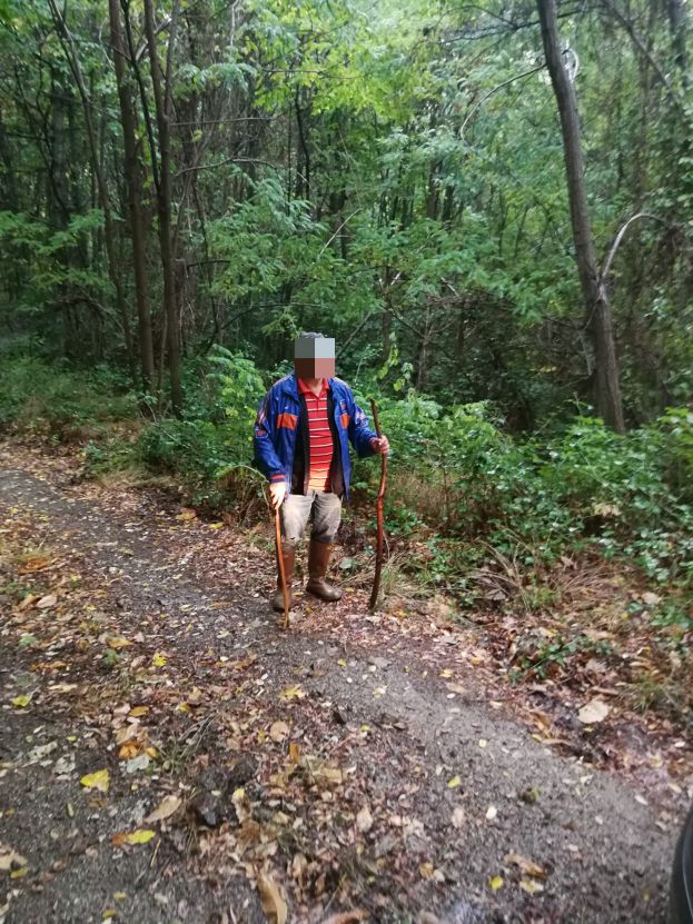 Si perde mentre cerca funghi, 80enne rintracciato nel bosco