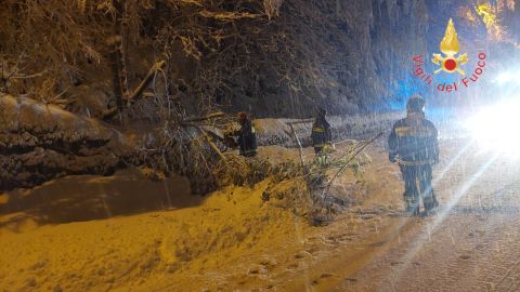 Maltempo in Calabria: oltre 30 centimetri di neve in Sila, strada chiusa per la caduta di alberi