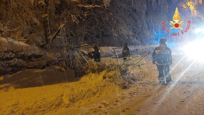 Maltempo in Calabria: oltre 30 centimetri di neve in Sila, strada chiusa per la caduta di alberi