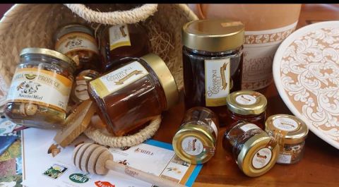 Nocciole e miele di Calabria, una sinergia vincente per le aree interne