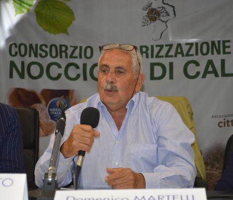 Domenico Martelli è il nuovo vicepresidente del Consorzio valorizzazione e tutela nocciola di Calabria