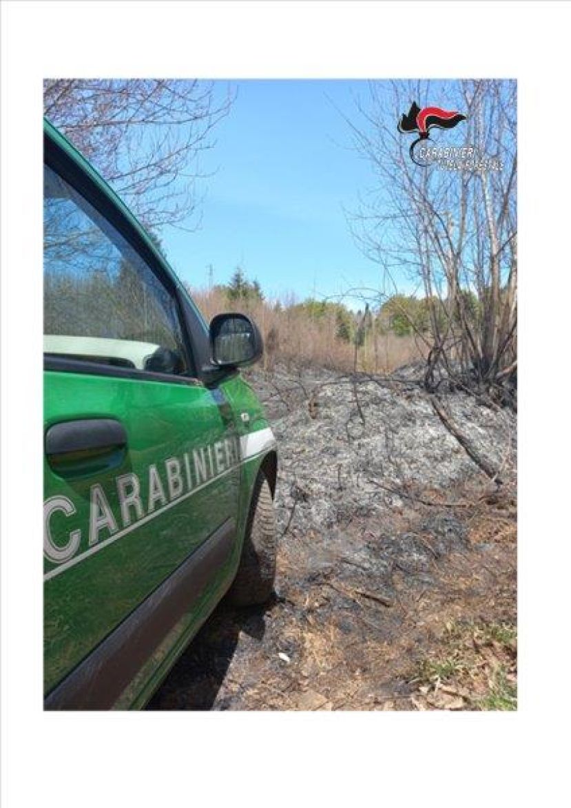 Serra: incendio in località &#039;Angelaro&#039;, 4 denunce