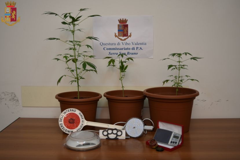 Serra: tre piante di  marijuana in camera da letto, 23enne finisce nei guai