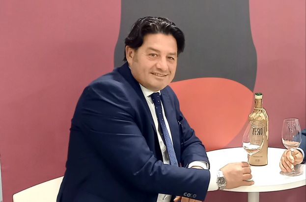 Enologia, Rapani: «I vini del consorzio di Cirò e Melissa potranno vantare il marchio Docg»